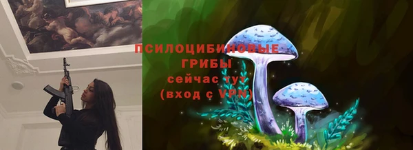 apvp Няндома
