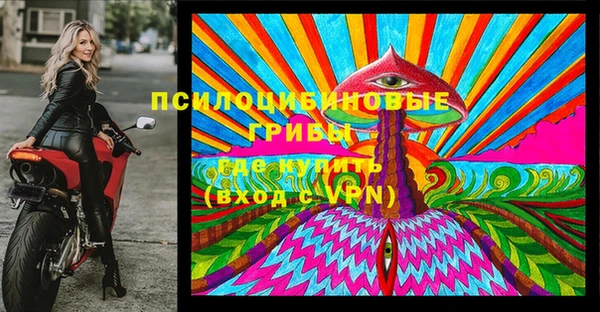 стаф Воткинск