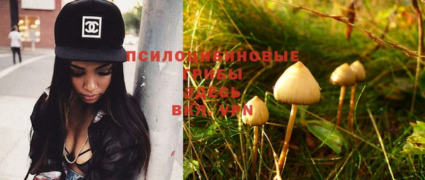 ГАЛЛЮЦИНОГЕННЫЕ ГРИБЫ Вуктыл
